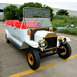 Carrito de Golf Eléctrico Clásico Personalizado, Estilo Retro, Sin Techo, Construcción de Acero, Batería de Litio, 1 Año de Garantía - Product Image 1