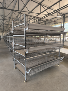 Sistema Moderno de Jaulas <span class=keywords><strong>para</strong></span> Gallinas Ponedoras <span class=keywords><strong>para</strong></span> Equipos de Granjas Avícolas con Comedero y <span class=keywords><strong>Bebedero</strong></span> - Product Image 3
