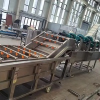 Luchtbellenwasser groentekussen verpakkingsmachine aardappel sla spinazie kool verpakkingslijn voor voedselverwerkingsbedrijven