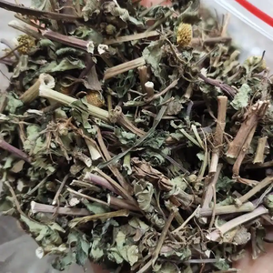 Herba Gotu Kola Seca Natural de Alta Calidad, Plantas Enteras, Hierbas Chinas, Acmella <span class=keywords><strong>Paniculata</strong></span> - Product Image 1