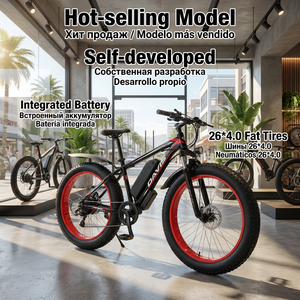 Bicicleta Eléctrica Retro con Llantas Gruesas al por Mayor - SKD/CKD Disponible para Sudamérica con <span class=keywords><strong>Ahorro</strong></span> <span class=keywords><strong>de</strong></span> Impuestos - Bicicleta Eléctrica <span class=keywords><strong>de</strong></span> Montaña <span class=keywords><strong>de</strong></span> Marca OEM - Product Image 1