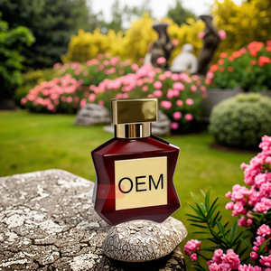 Parfums pour hommes et femmes de qualité OEM, <span class=keywords><strong>parfum</strong></span> Red 540 Crystal Red Cologne 70 ml, <span class=keywords><strong>parfum</strong></span> floral, forme liquide, vente en gros - Product Image 4