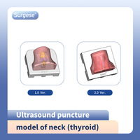 Modèle d'échographie de la thyroïde cervicale, modèle d'entraînement à la ponction guidée par échographie, modèle anatomique d'organe humain bionique pour la formation médicale
