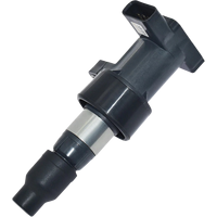 ملف إشعال C2S42673 من ENGINE Systems لسيارات جاكوار XJ وX-Type وXF V6 وXK 8 كوبيه ورينج روفر سبورت