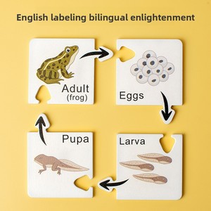 Tarjetas de Madera del Ciclo de Vida de Insectos, Juguete Educativo Montessori de Ciencia STEM para Niños, Rompecabezas de Emparejamiento de Etapas del Ciclo de Vida Animal - Product Image 3