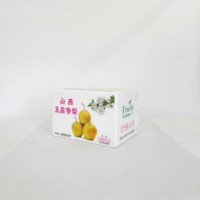Coroplast ondulé pp corflute stockage en plastique fruits boîte de légumes pour l'emballage