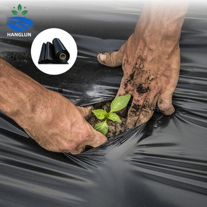 Película de Cobertura Biodegradable <span class=keywords><strong>para</strong></span> Control de Malezas, Película de Polietileno Negra/Plateada <span class=keywords><strong>para</strong></span> Agricultura - Product Image 1