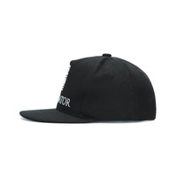 Gorra Clásica Personalizada de 5 Paneles con Bordado 3D, Visera Plana, 100% Algodón, para Uso Casual y Deportivo, Venta Directa de Fábrica, Compatible con OEM y ODM
