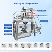 Machine rotative multifonctionnelle d'emballage de sachets pré-fabriqués de 20 kg de sel