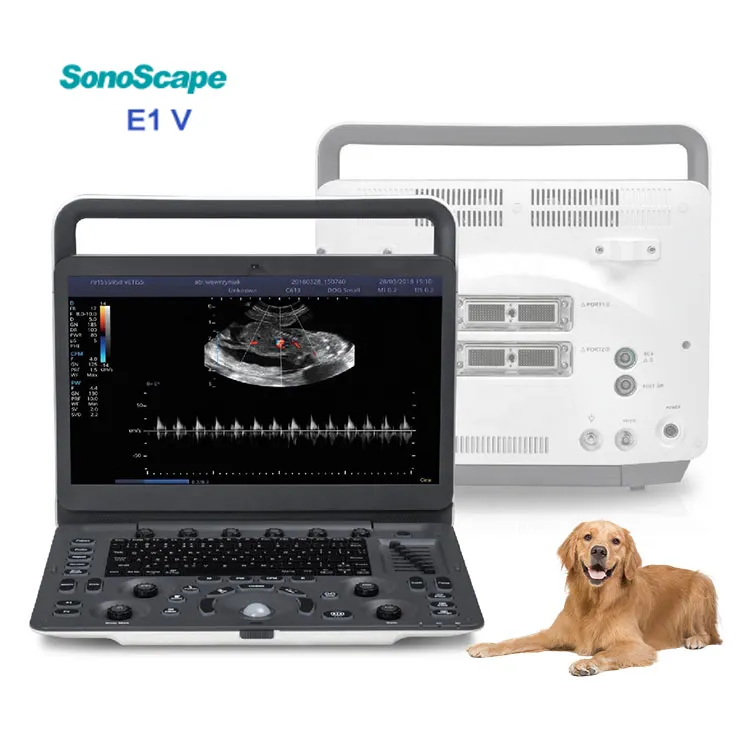 Machine à ultrasons pour animaux portable e1v, dispositif de mesure de la couleur du ev