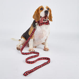 Correa y Collar para Gato Mediano/Grande con Lazo de Poliéster Personalizado TANPOPO - Product Image 2