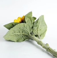 Natuurlijke verse boeket zonnebloemen, snijbloemen, prijzen, beste kwaliteit, decoratieve bloemen, lang houdbaar