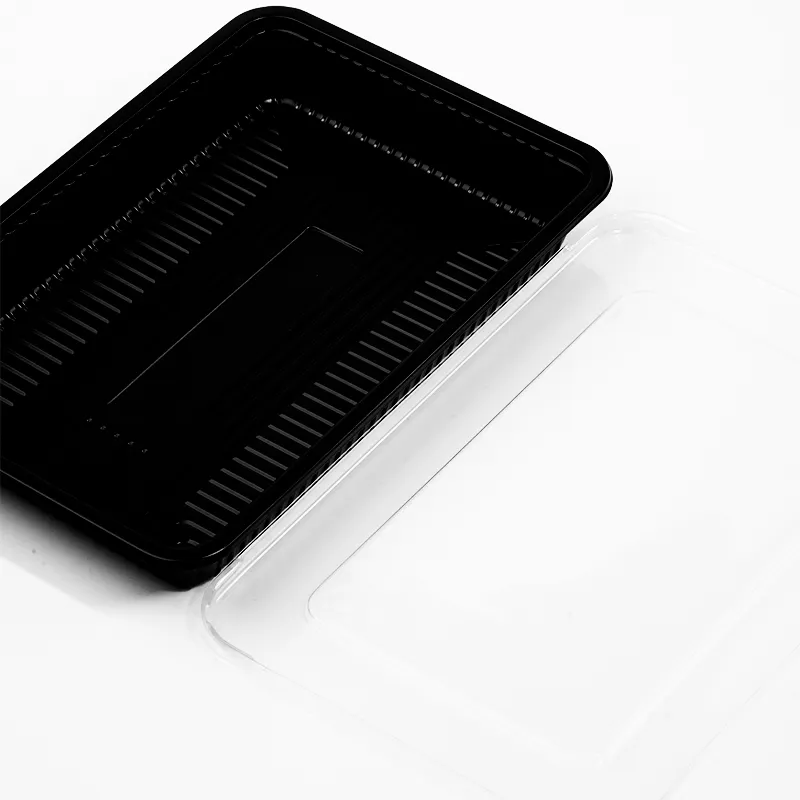 Black Disposable Food With Transparent Plastic Rectangular Tray For Holding Lamb And Beef Rolls
