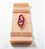 Cinta de simulación de incisión quirúrgica portátil de material PET para modelo de maniquí de enseñanza médica TL-008 de Tianlian