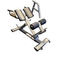 Appareil de musculation professionnel réglable pour extensions dorsales et entraînement des jambes, à charge par broches, grande capacité de charge, en acier, double fonction pour musculation
