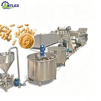Projet clé en main pour une ligne de production complète de beurre de cacahuètes croustillant avec une structure entièrement en acier inoxydable
