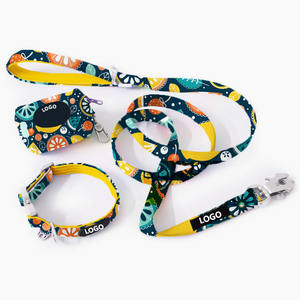 Conjunto de <span class=keywords><strong>Collar</strong></span> y Correa Táctica para Perro con Diseño Personalizado, <span class=keywords><strong>Collar</strong></span> Acolchado Suave de <span class=keywords><strong>2cm</strong></span>, 4cm y 5cm de Ancho para el Entrenamiento de Perros - Product Image 3