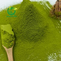 Poudre de matcha à la betterave, mélange de poudre de matcha à la betterave et au thé vert pour la pâtisserie, les lattes et les aliments fonctionnels (matière première)
