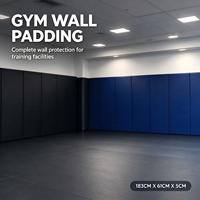 Panneau mural anti-collision en mousse haute densité avec logo personnalisé pour MMA, BJJ, boxe, judo, dojo, salle de sport et entraînement