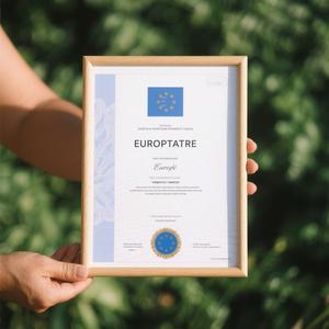 Giấy chứng nhận thành tích hoàn thành giải thưởng Fancy giấy văn phòng kinh doanh tốt nghiệp danh dự hoàn hảo ràng buộc giấy bìa in ấn - Product Image 6