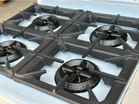 Estufa de Gas Compatible con GLP de 4 Quemadores, Construcción de Acero Inoxidable, 16kW, Niveles de Potencia Ajustables, Uso Comercial en Cocina, Protección Contra Fallos de Llama