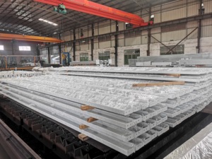 <span class=keywords><strong>Maison</strong></span> préfabriquée économique T16173 T modulaire 5 20m2 - Product Image 6