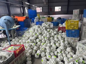 [Toprate] 32-Panel Genähter Interaktiver Haustierball, Ungiftiges PU, Nylonriemen, Glocke Innen, Leicht zu Reinigen, für Hunde und Katzen - Product Image 4