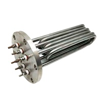 220V 2KW 3KW Elektrische Weerstand Verwarming Buis Boiler Voor Zwembad