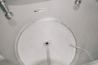 Cuve de brassage et d'extraction de kombucha pour l'infusion de thé, l'extraction d'ingrédients à base de plantes et la production de boissons fermentées