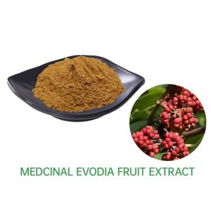 Estratto di Frutta di Evodia Medicinale Molto Richiesto, Polvere di Alta Qualità, Specifiche Personalizzabili, Evodina 10%~98% - Product Image 1