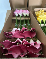 Mini fleurs artificielles en EVA blanc, calla réaliste faites à la main pour la décoration de la maison, des mariages et de Thanksgiving (vente en gros)