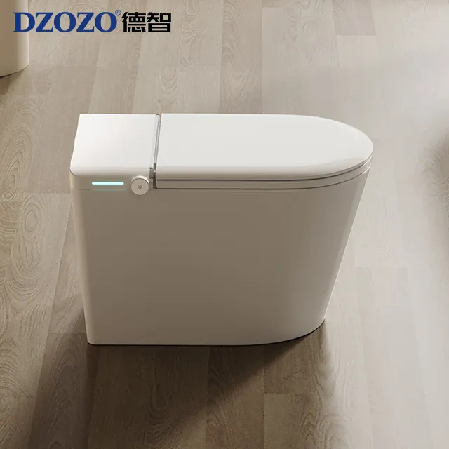 S009 Moderne intelligente Toilette Wc kombinierte einteilige Bidet automatische Wasser klosett intelligente Toilette mit Tank