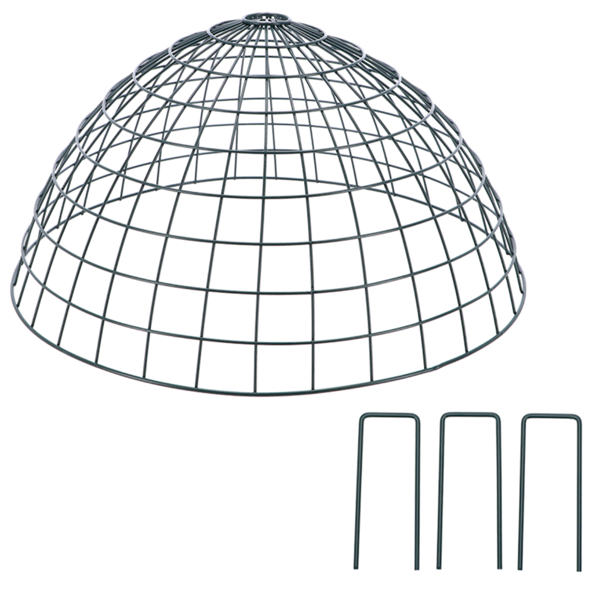 Vert foncé (PMS627)