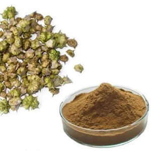 ผงสารสกัดแห้งจากต้นโกคูรุ (Tribulus Terrestris) คุณภาพพรีเมียม วัตถุดิบสมุนไพรธรรมชาติสำหรับอาหารเสริมเพื่อสุขภาพ - Product Image 1