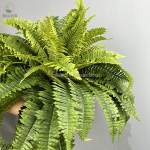 Simulation de la fougère de Boston Bush herbe persane pour la décoration de la maison plante de fougère de vigne Faux verdure laisser la plante <span class=keywords><strong>feuille</strong></span> artificielle <span class=keywords><strong>lierre</strong></span> grand - Product Image 6