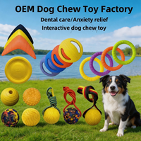 Jouets pour chiens en EVA légers et non toxiques, ensemble de jeux de rapport et de traction pour chiens, jouets à mâcher pour animaux de compagnie pour jouer dans la cour, la piscine, la plage, dans l'eau et sur terre