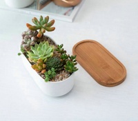Pot de fleurs mural en céramique et bambou pour plantes succulentes et cactus, forme ovale, blanc, 6,7 pouces, finition émaillée, design moderne, jardin