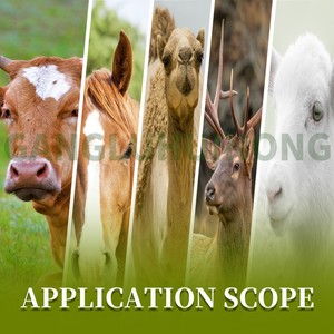 I multivitaminici per gli additivi per mangimi per bestiame da corsa di cavalli promuovono la crescita e migliorano l'immunità - Product Image 5