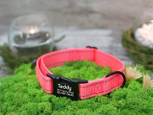Collar Personalizado para Perro Pequeño, Reflectante, de Terciopelo, Grabado con Nombre, Diseño Sólido con Decoración de Lazo - Product Image 4