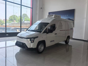 Wuling LINXYS Furgone Elettrico 2024 di Grande Capacità, 109 CV, Veicolo Commerciale Completamente Elettrico, Minivan per Trasporto Merci - Product Image 2