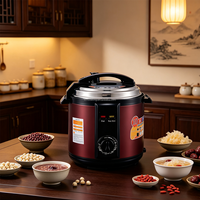 Cuisinière électrique à pression extra-large avec verrou de sécurité, multifonction, idéale pour les grandes familles et la restauration