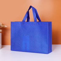Sacs de courses écologiques recyclables de haute qualité en non-tissé pour supermarchés, acceptant l'impression personnalisée du logo et des couleurs, sacs de créateurs