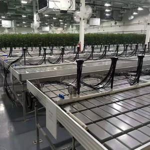 Flujo y reflujo sistema hidropónico de banco - Product Image 6