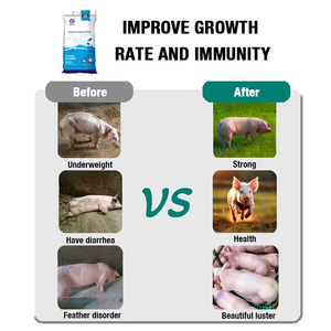 Probióticos en Polvo de la Mejor Calidad, Bacillus Subtilis, Suplemento Animal para Aves de Corral, Mejora la Inmunidad de Cerdos, Lechones y Cerdas, Promueve la Celo - Product Image 3