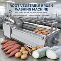 Machine à laver les légumes-racines à rouleaux brosse robuste pour le nettoyage des tubercules durs comme le gingembre, le manioc, le curcuma et le radis