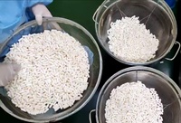 Suppléments de gym avec logo personnalisé Capsules de protéines pour prise de masse corporelle Capsules pour prise de poids Directement en usine
