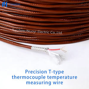Câble d'extension de thermocouple blindé en acier inoxydable industriel 2*7*0.2mm, type T, <span class=keywords><strong>isolation</strong></span> PTFE/FEP, conducteur Cu-CuNi 24AWG - Product Image 3