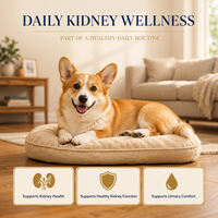 Sirop de Soutien Rénal pour Chiens – Complexe Herbal Poria, Plantain, Eucommia – Facile à Administer – Soin Quotidien – Naturel – Qualité Supérieure – OEM
