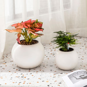 Jardinière en plastique sphérique auto-arrosante Pot de fleur de bureau blanc utilisation de jardin intérieur/extérieur Design minimaliste moderne 4 tailles - Product Image 4