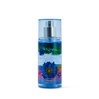 Déodorants Peau Multiflaveurs Assortis 88 ml Mini Brume Corporelle Parfumée Format Voyage Saveurs d'Été